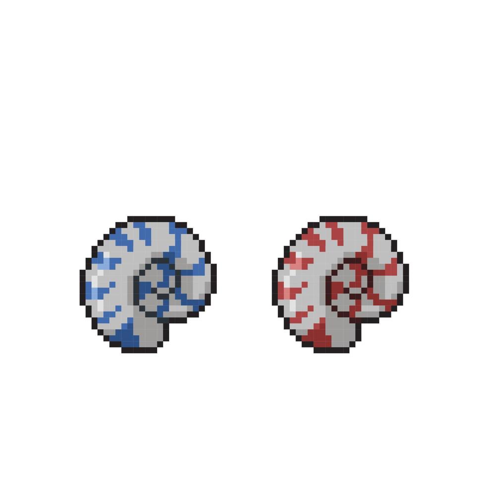 animal coquilles avec différent Couleur dans pixel art style vecteur