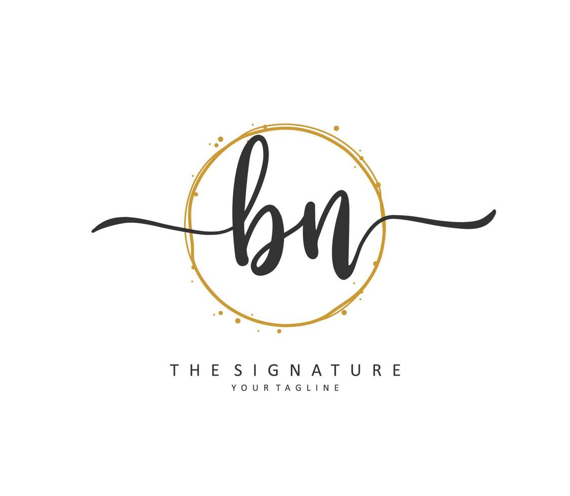 b n bn initiale lettre écriture et Signature logo. une concept écriture initiale logo avec modèle élément. vecteur