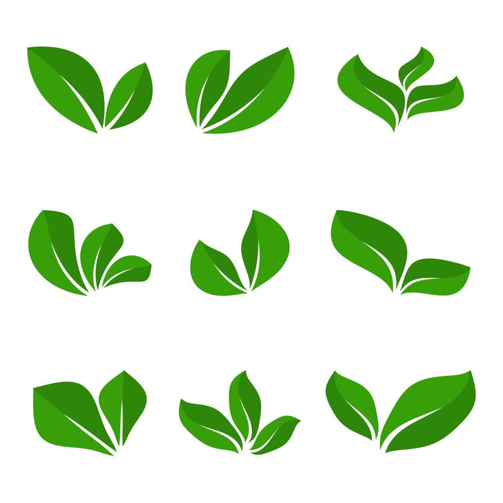 vert feuilles isolé silhouettes Icônes Naturel ensemble. vecteur