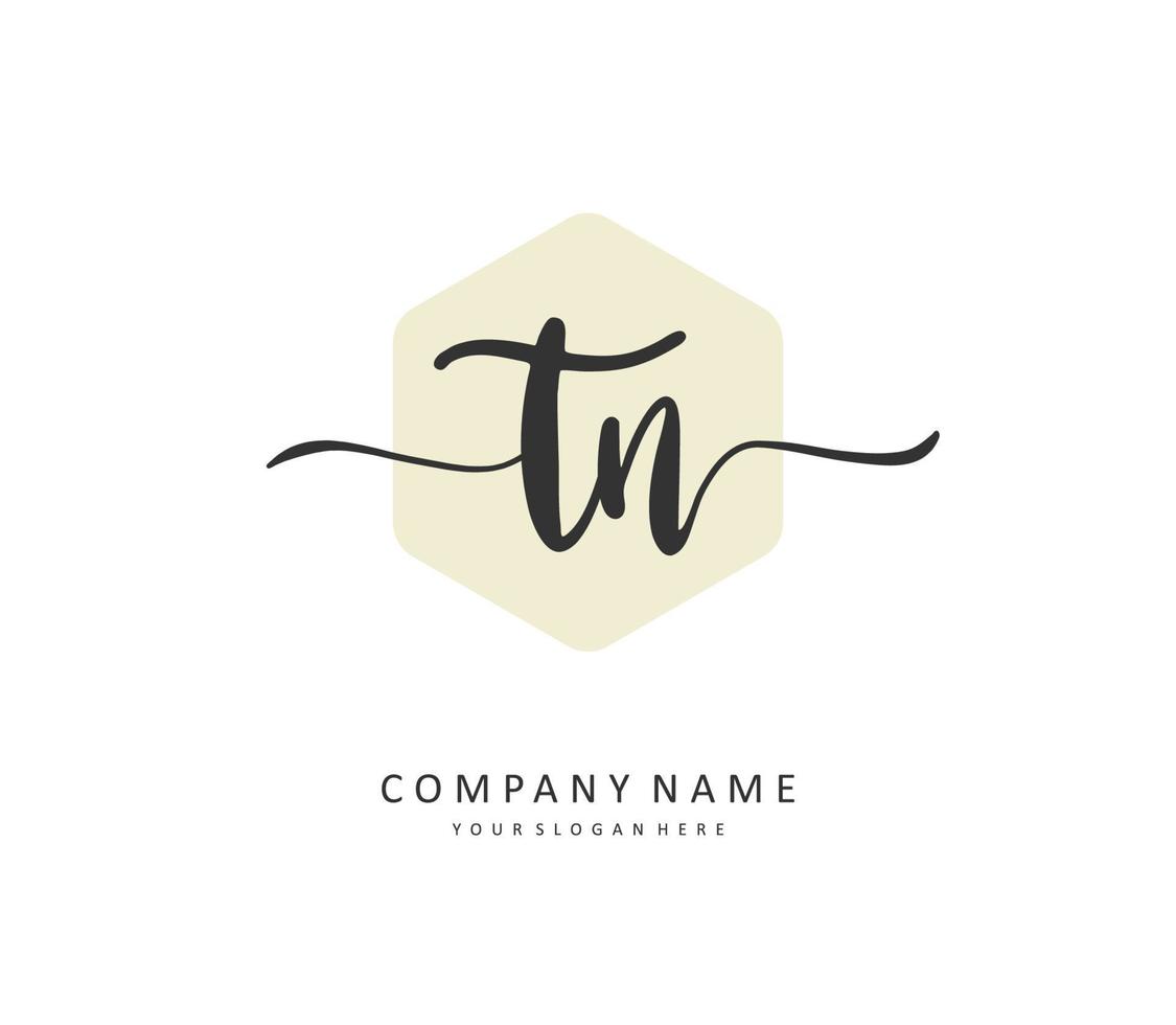 t n tn initiale lettre écriture et Signature logo. une concept écriture initiale logo avec modèle élément. vecteur