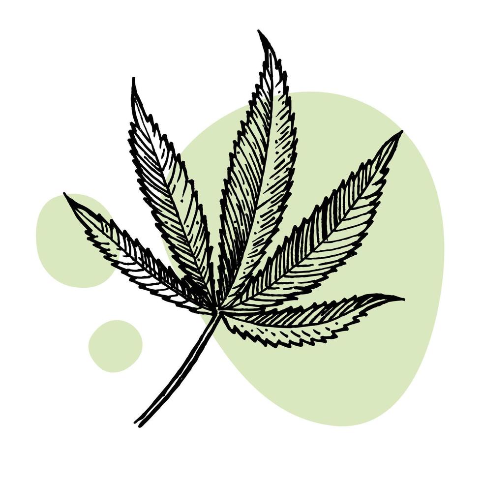 une magnifique brin de cannabis. botanique illustration dans le style de ligne art. plante gravure. minimalisme affiche vecteur