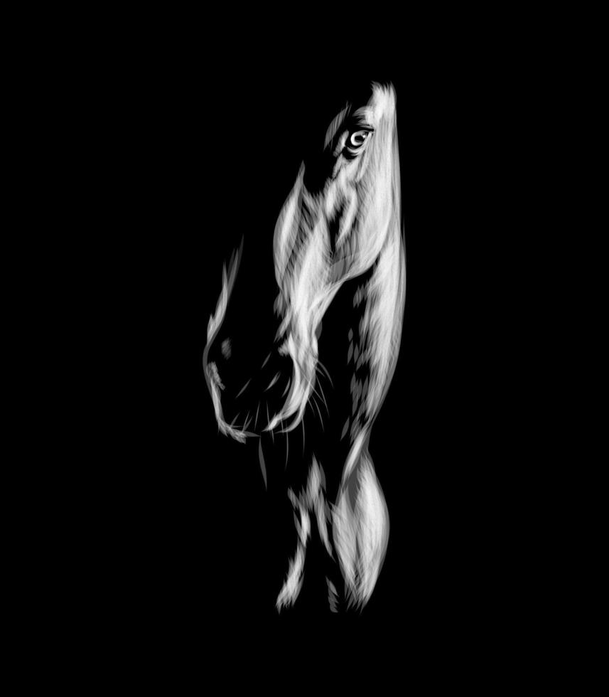 silhouette d'une tête de cheval sur fond noir. illustration vectorielle de peintures vecteur