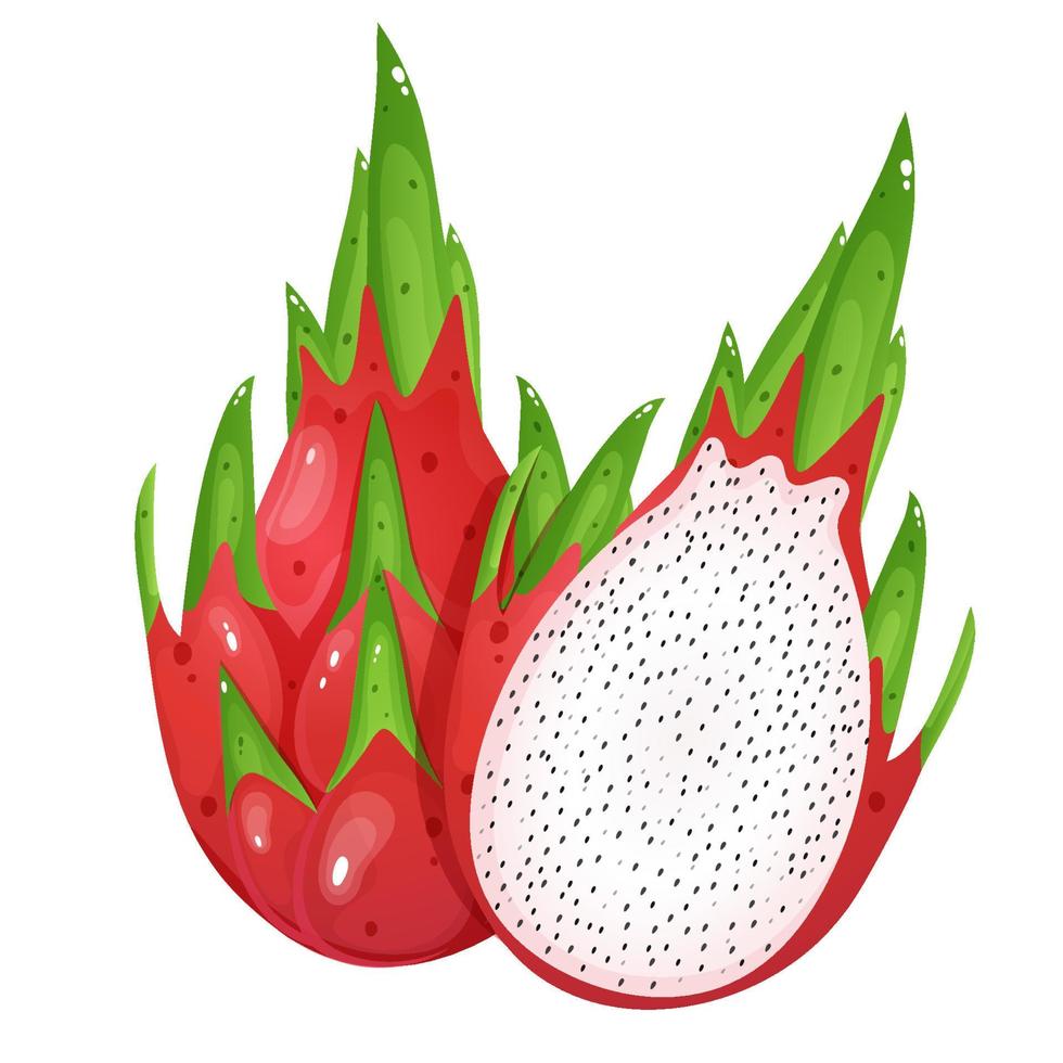 rose dragon fruit avec moitié. dessin animé style vecteur illustration.