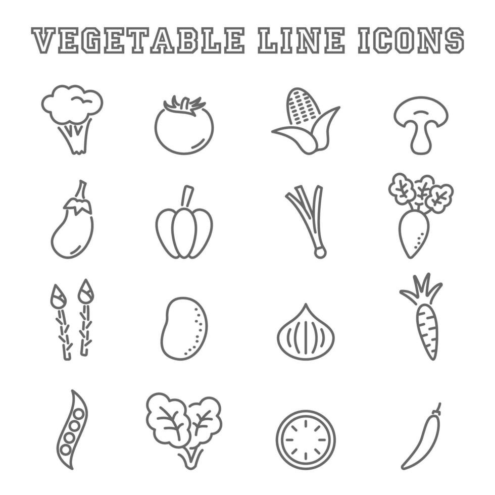icônes de ligne de légumes vecteur
