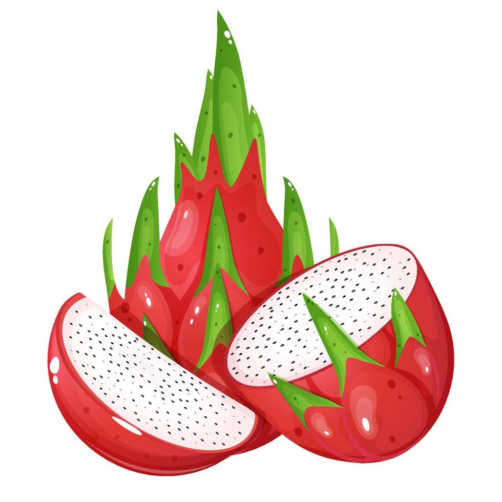 rose dragon fruit avec moitié et tranche. dessin animé style vecteur illustration.