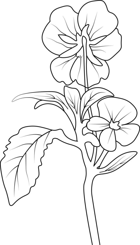 violet pensées dessin, contour pensée fleur dessin ancien pensée dessin, facile esquisser art de pensée fleur, ligne art bouquets de floral main tiré illustration, vecteur