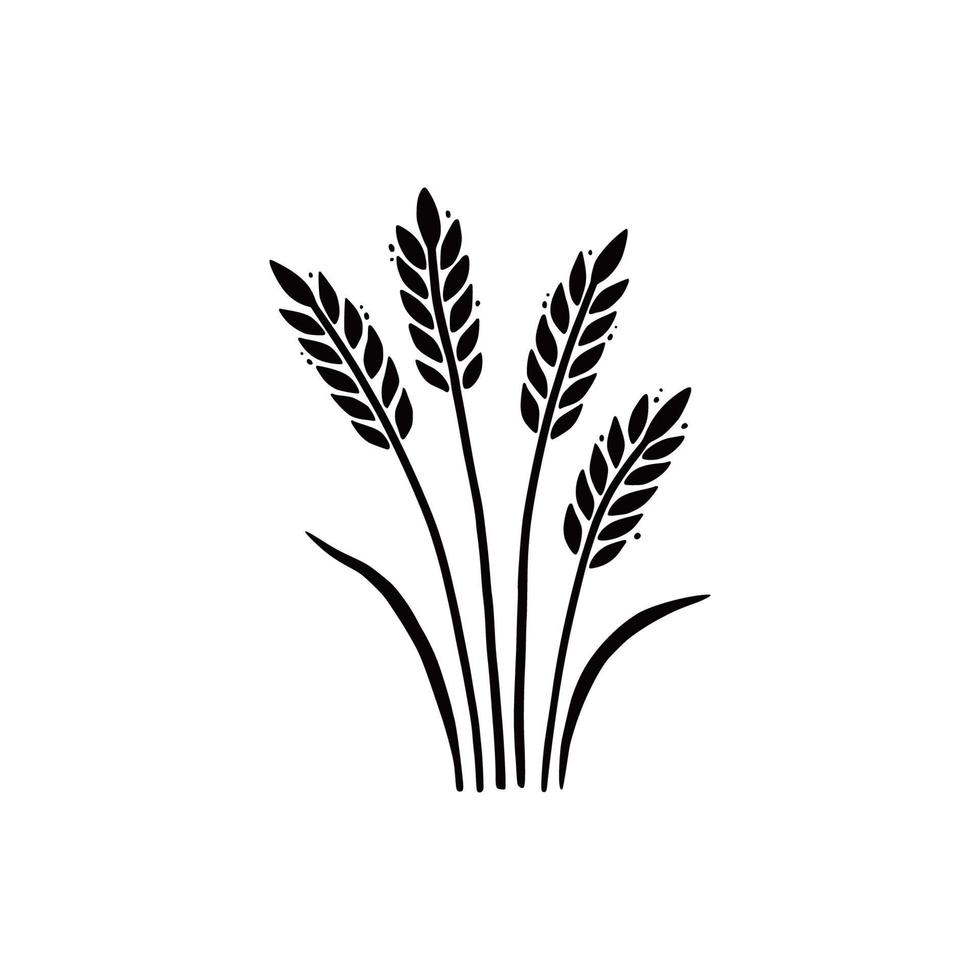 blé, orge, icône de riz. dessiné à la main vecteur