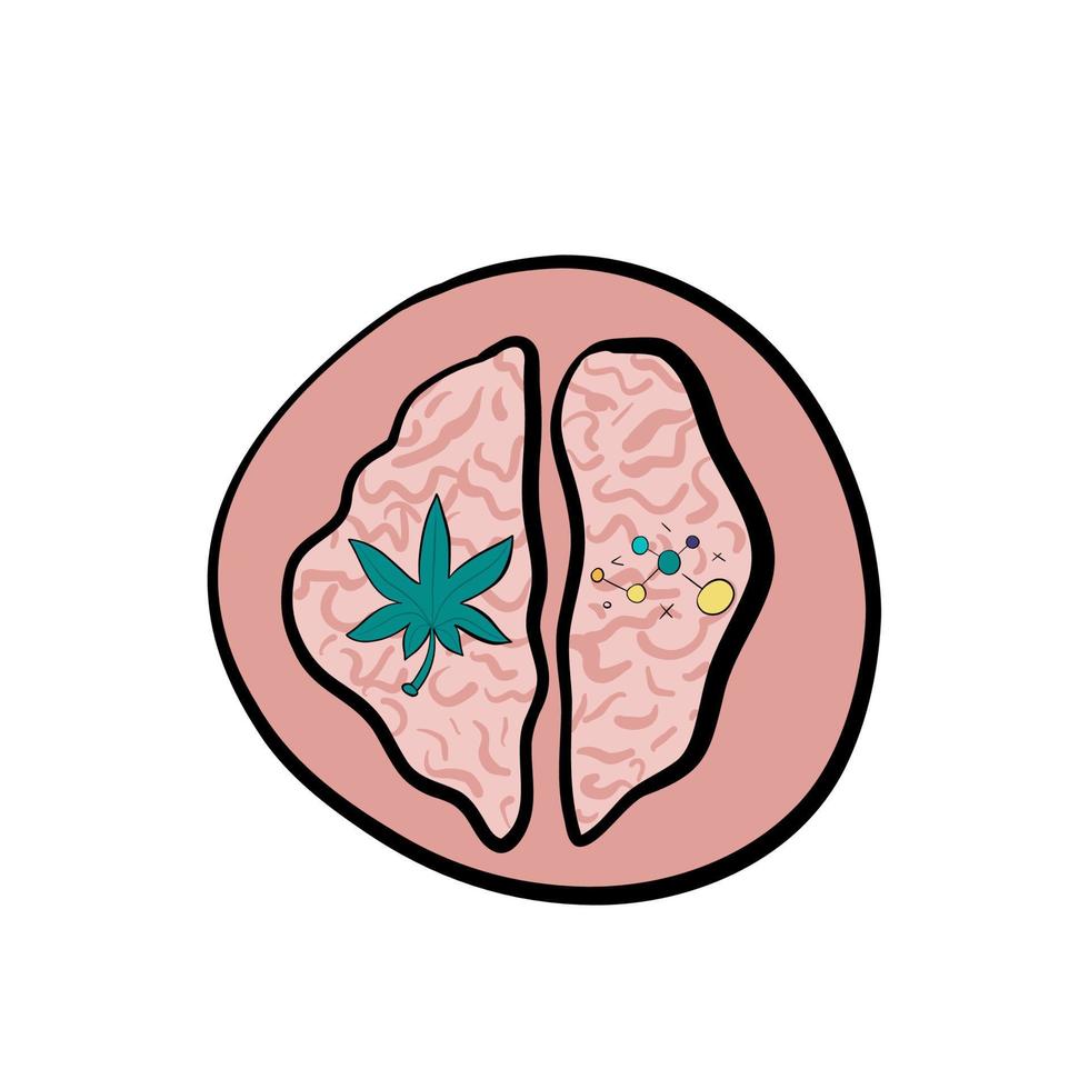 dépendance cerveau avec cannabis et chimique net vecteur