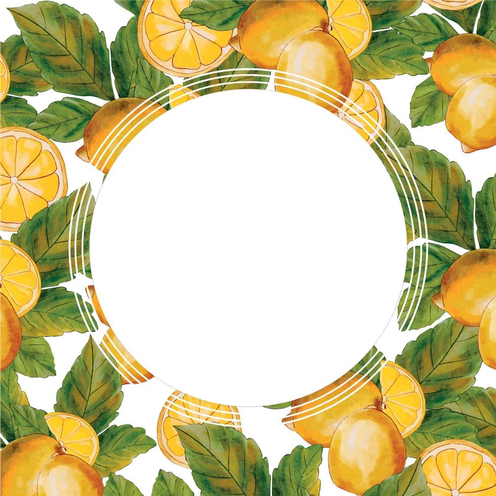 Cadre de des fruits. Cadre avec feuilles. aquarelle bannière Cadre. aquarelle bannière avec citrons et feuilles. printemps ou été fleurs avec une endroit pour votre texte. Contexte avec citrons pour cartes postales. vecteur