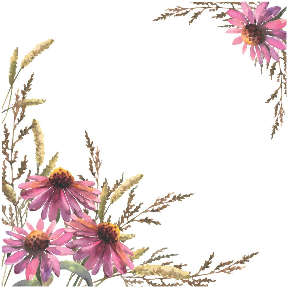 vecteur modèle pour faire-part, cartes postales. composition de aquarelle échinacée fleurs et champ herbes, avec vide espace pour texte