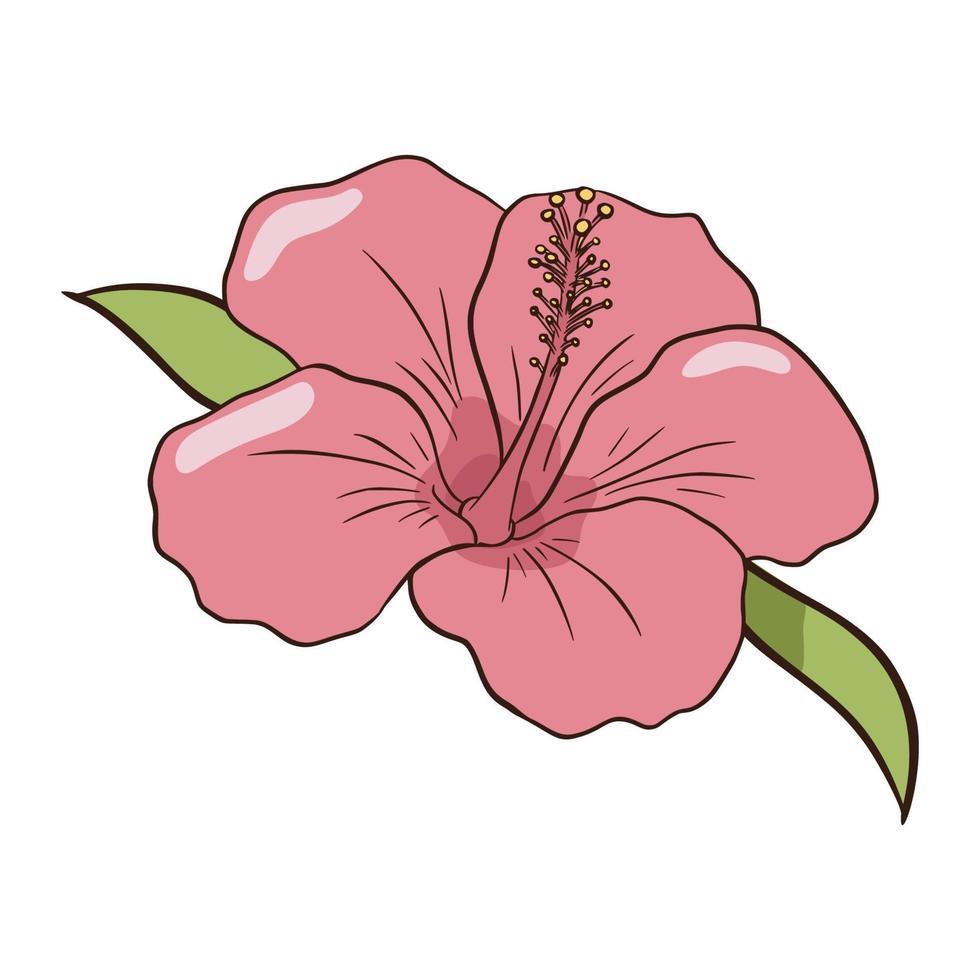 icône d'hibiscus rose dessiné à la main. dessin au trait de style plat illustration isolée colorée vecteur