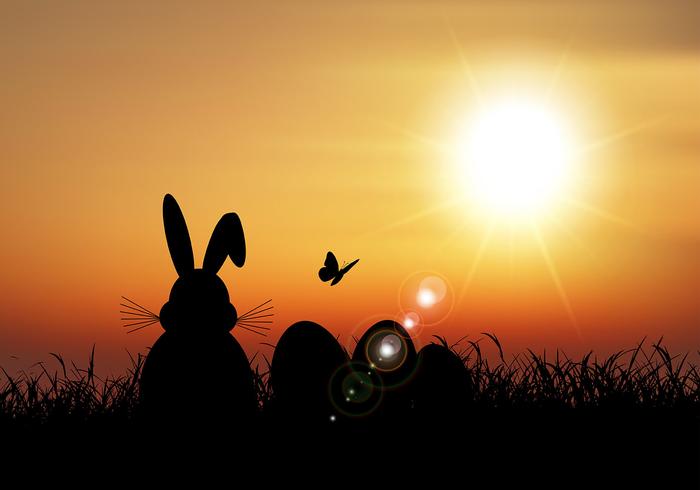 Lapin de Pâques assis dans l'herbe contre un ciel coucher de soleil vecteur