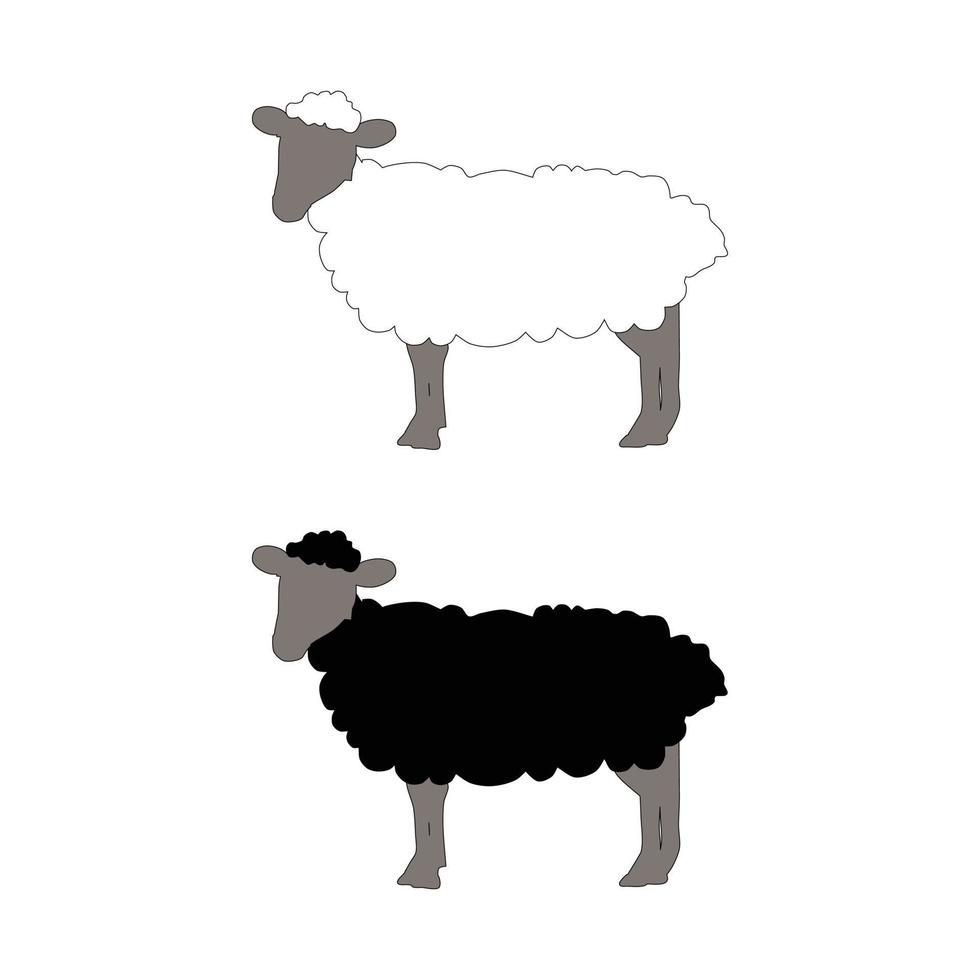 blanc et noir mouton dessin animé vecteur illustration isolé sur blanc Contexte