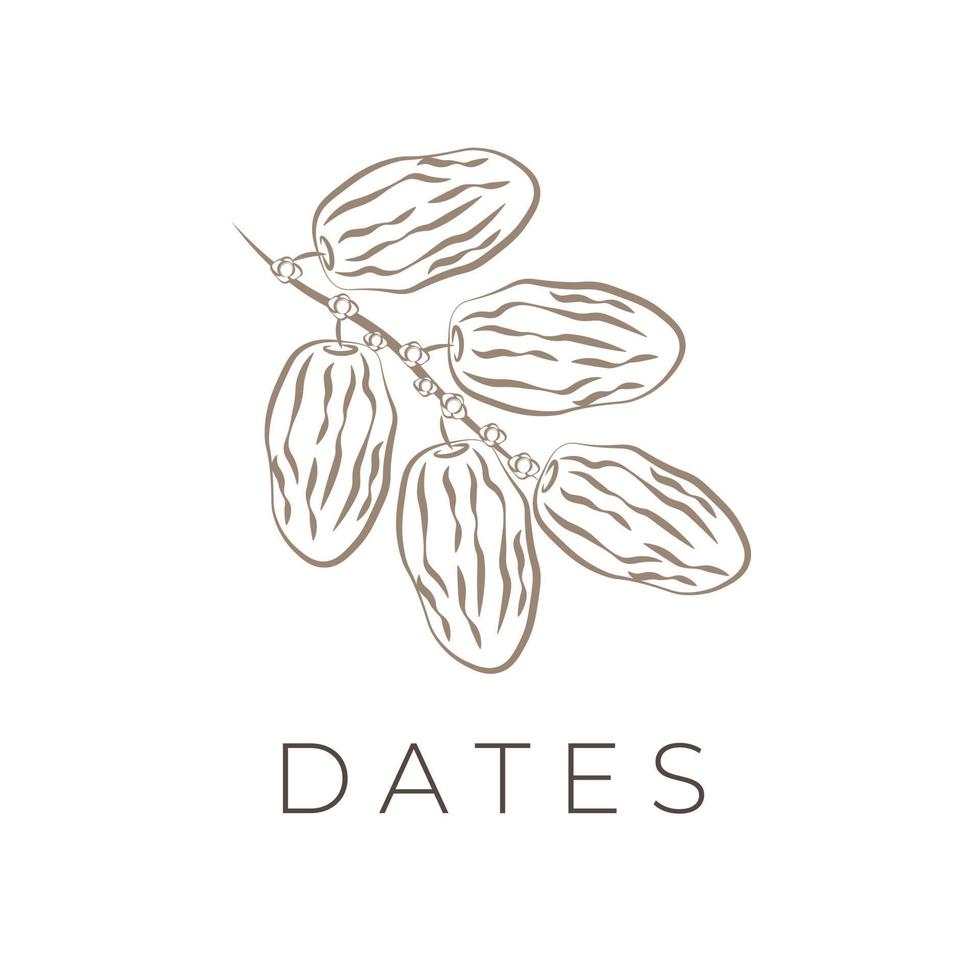 séché arabe Date fruit ligne art illustration logo vecteur