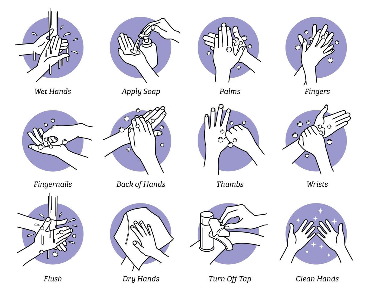 comment se laver les mains étape par étape instructions et directives ensemble vecteur