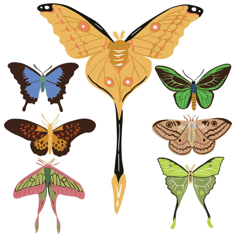 ensembles de magnifique papillon de nuit et papillon, bien pour graphique conception Ressources vecteur