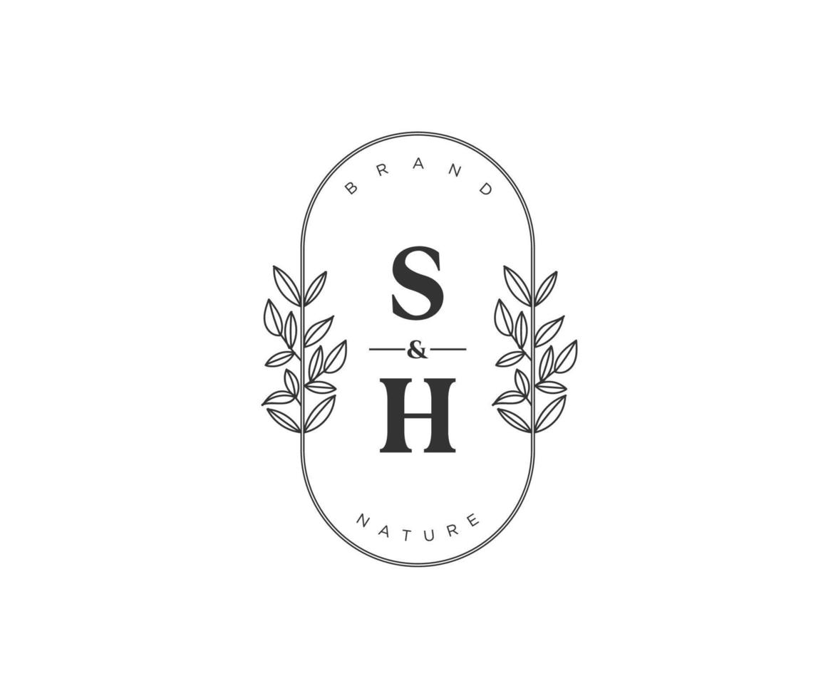 initiale sh des lettres magnifique floral féminin modifiable premade monoline logo adapté pour spa salon peau cheveux beauté boutique et cosmétique entreprise. vecteur