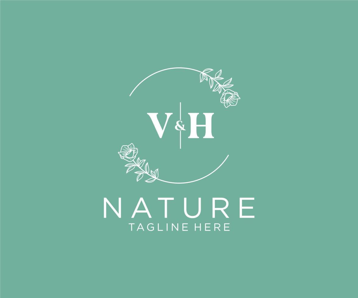 initiale vh des lettres botanique féminin logo modèle floral, modifiable premade monoline logo adapté, luxe féminin mariage l'image de marque, entreprise. vecteur