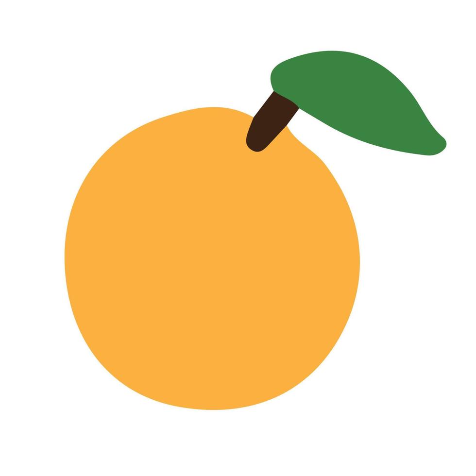 Orange fruit ,bien pour graphique conception Ressource vecteur