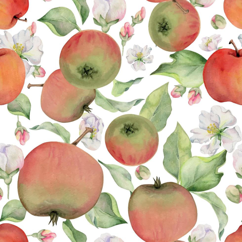 main tiré aquarelle Pomme des fruits, mûr, plein et tranches rouge et vert avec feuilles. sans couture modèle. isolé objet sur blanc Contexte. conception pour mur art, mariage, imprimer, tissu, couverture, carte. vecteur