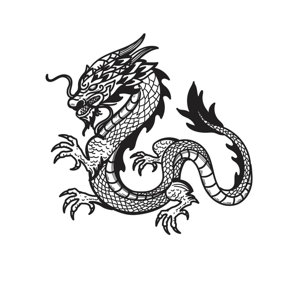 asiatique dragon illustration vecteur