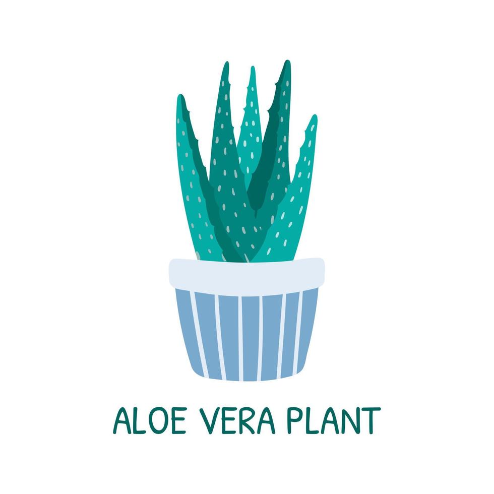 vecteur isolé dessin animé illustration de Accueil mis en pot succulent aloès Vera plante.