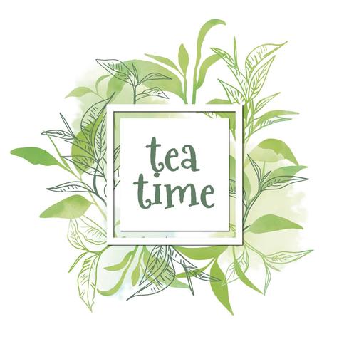 Feuilles de thé aquarelle à l'heure du thé vecteur