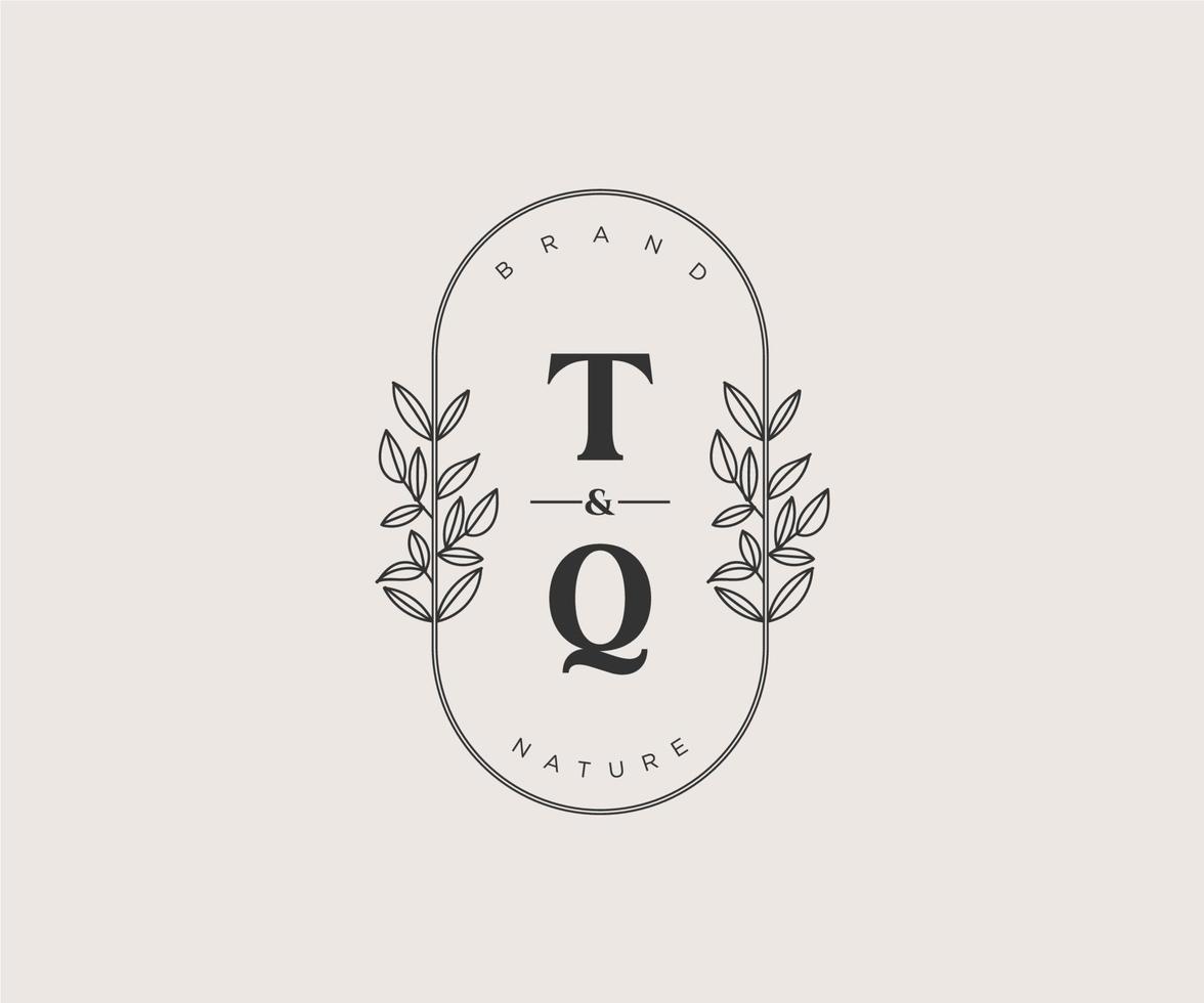 initiale tq des lettres magnifique floral féminin modifiable premade monoline logo adapté pour spa salon peau cheveux beauté boutique et cosmétique entreprise. vecteur