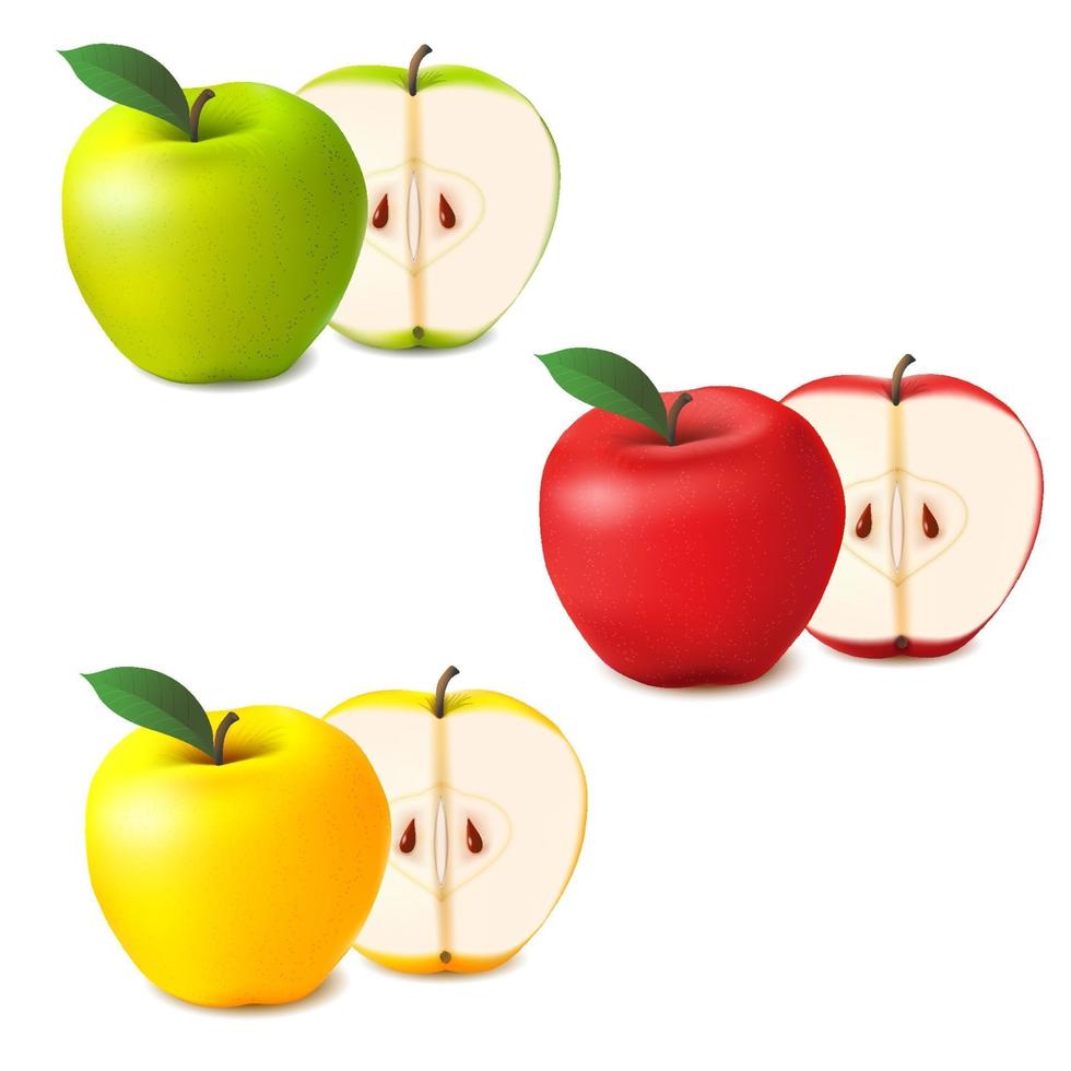 ensemble de vecteurs de pommes réalistes. entiers et tranchés rouge, vert et jaune. vecteur