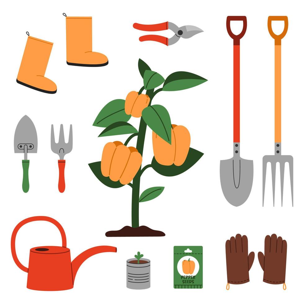 une cloche poivre buisson entouré par essentiel jardinage outils à Aidez-moi grandir poivrons. pelle, graines, arrosage peut, gants, râteau, semis, sécateur et autre. vecteur