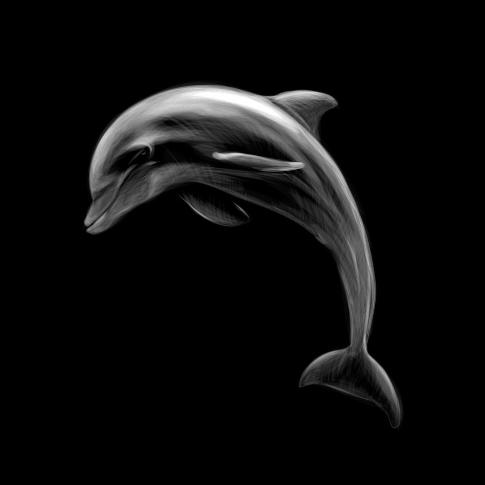 dauphin sur fond noir, dessiné à la main. illustration vectorielle vecteur