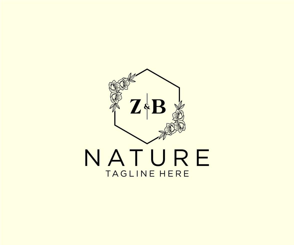 initiale zb des lettres botanique féminin logo modèle floral, modifiable premade monoline logo adapté, luxe féminin mariage l'image de marque, entreprise. vecteur