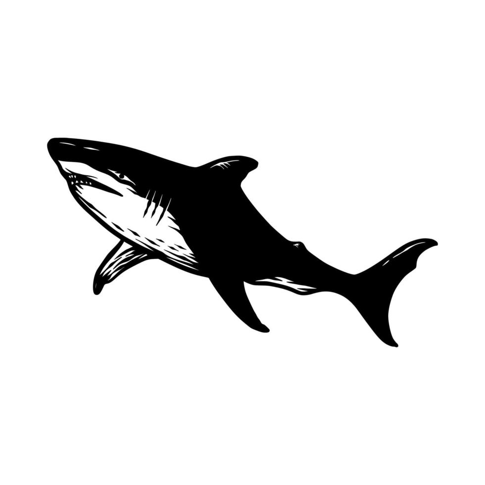 silhouette illustration de requin vecteur