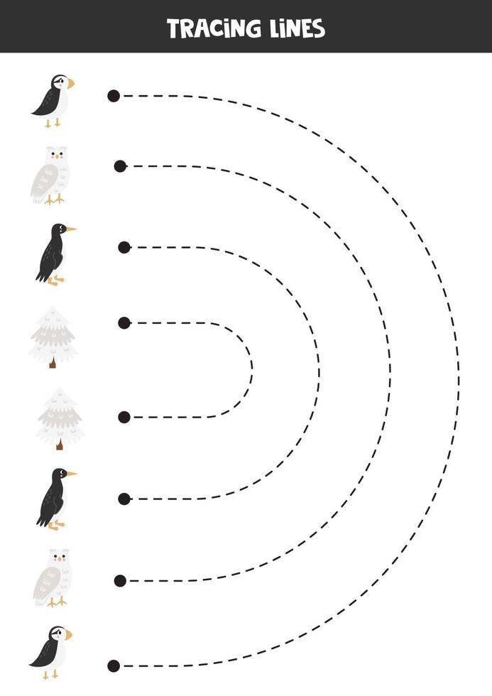 tracé lignes pour enfants. dessin animé Arctique des oiseaux. vecteur