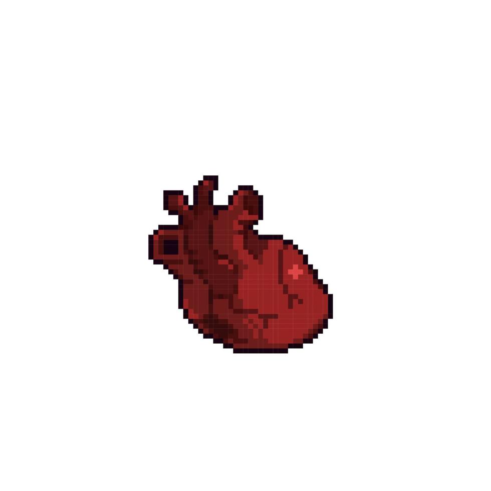 cœur organe dans pixel art style vecteur