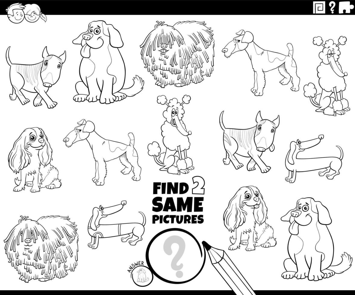 trouver deux même dessin animé de race chiens activité coloration page vecteur