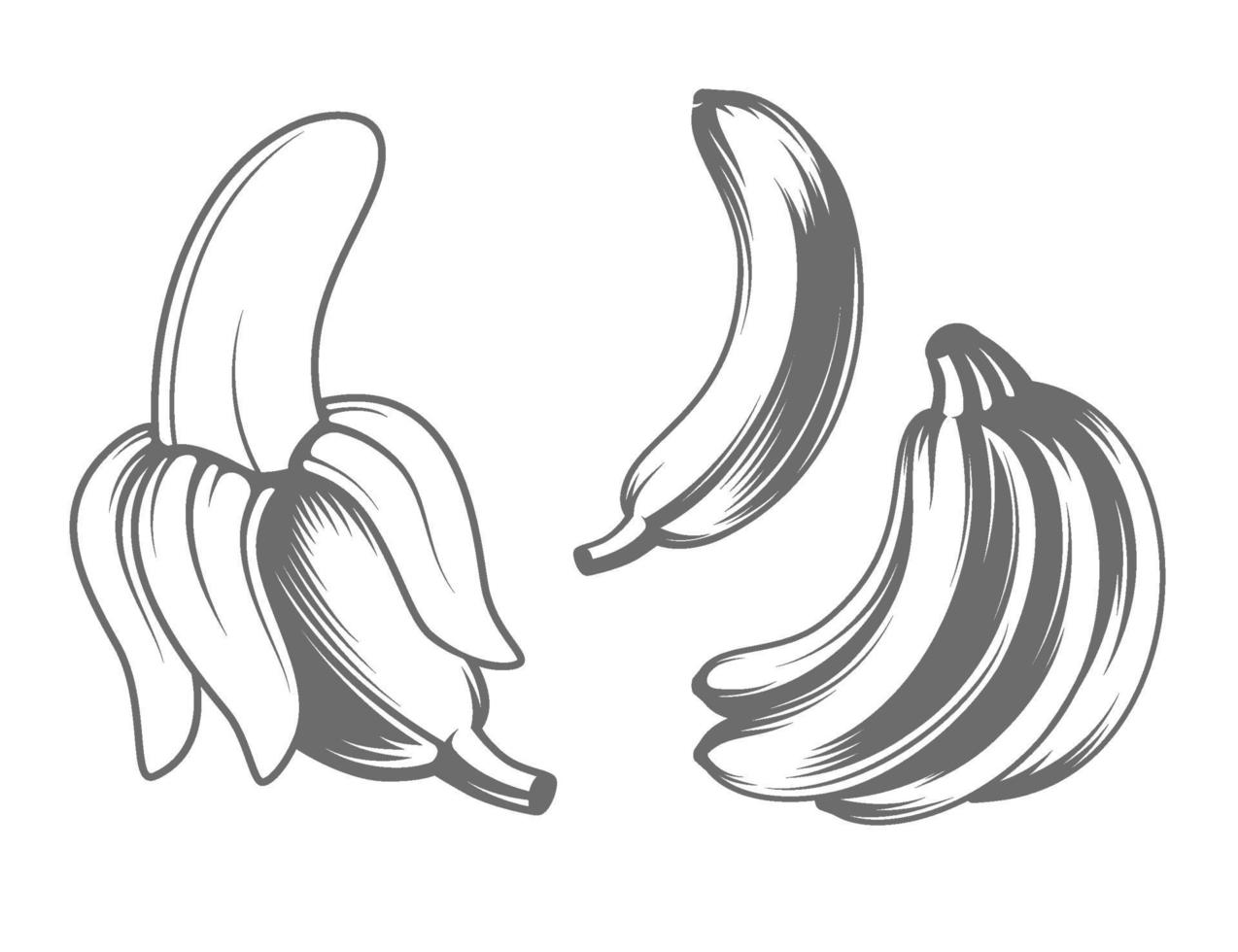 icônes vectorielles de banane vecteur