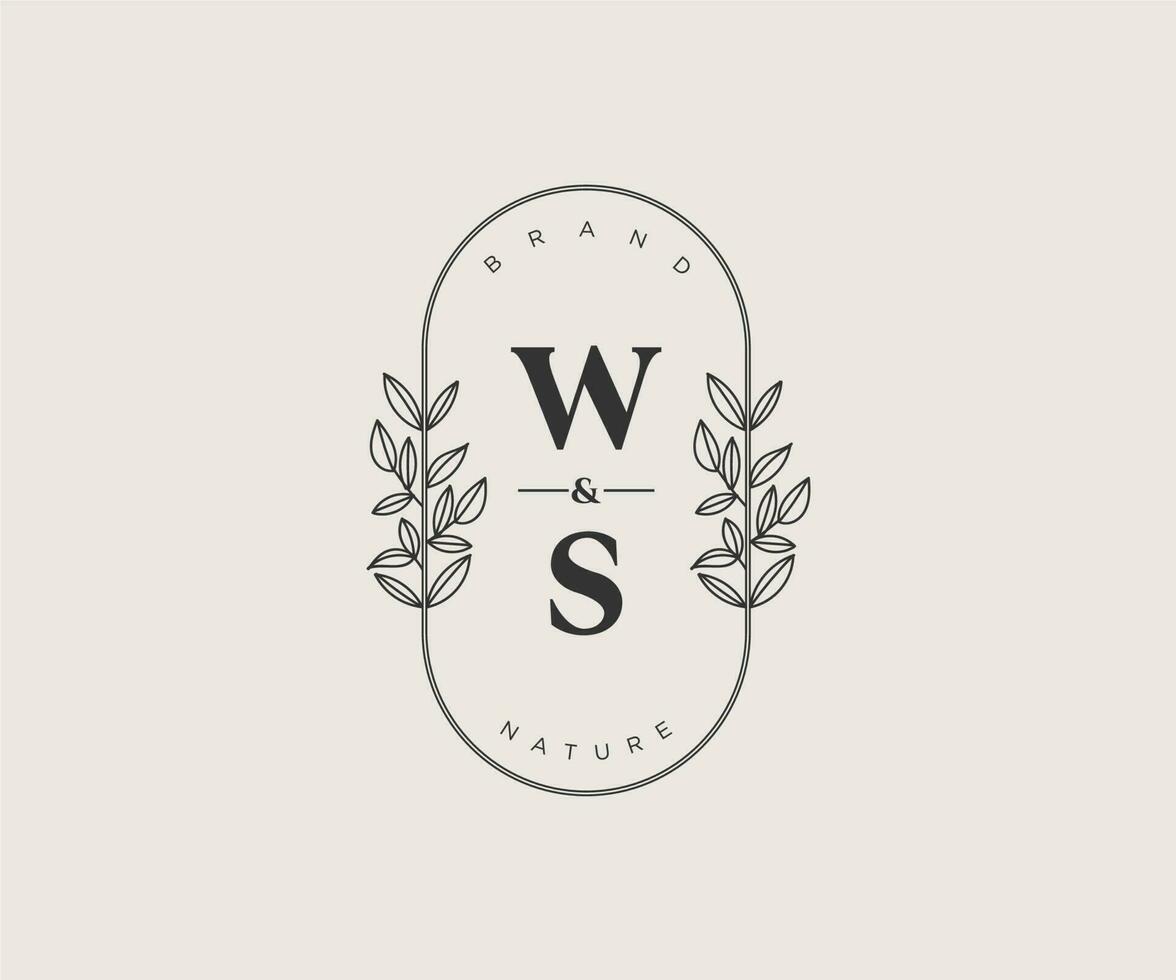 initiale ws des lettres magnifique floral féminin modifiable premade monoline logo adapté pour spa salon peau cheveux beauté boutique et cosmétique entreprise. vecteur
