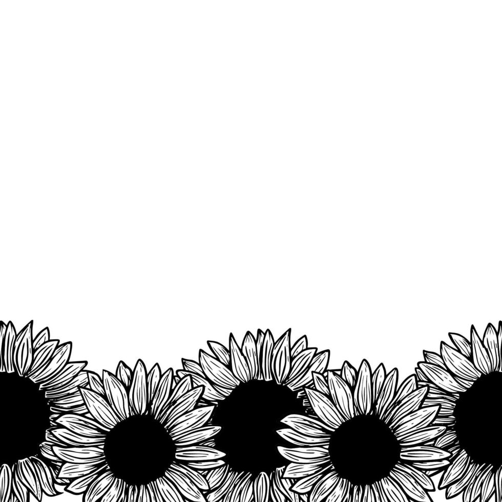 frontière de tournesols sur fond blanc pour carte de voeux, dessin au trait. Éléments de tournesol en fleurs décoratifs dessinés à la main en vecteur