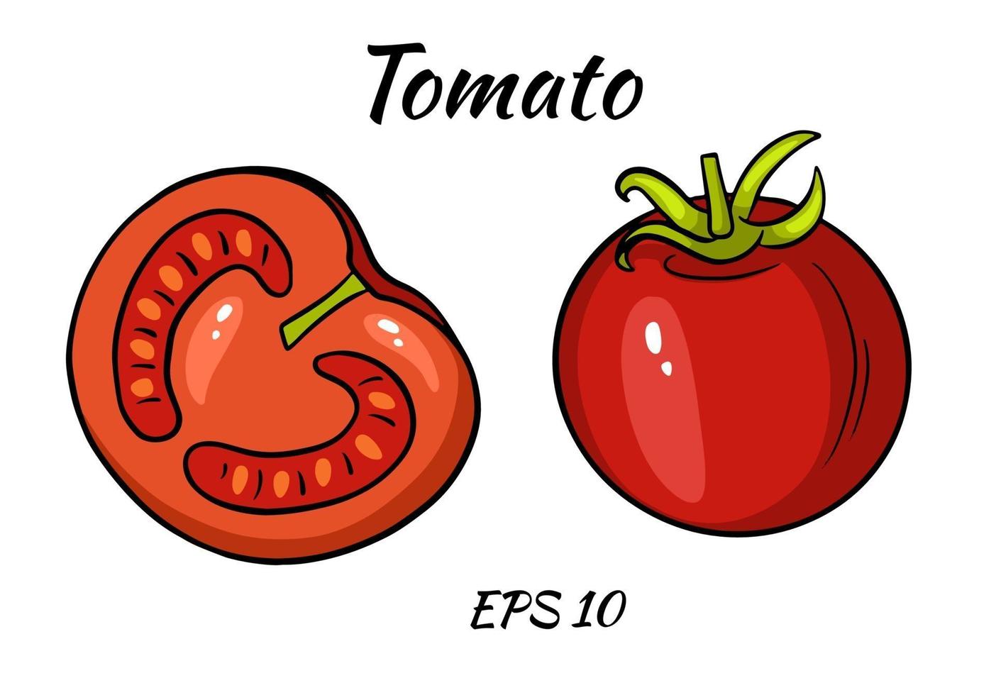 un ensemble de tomates juteuses. vecteur