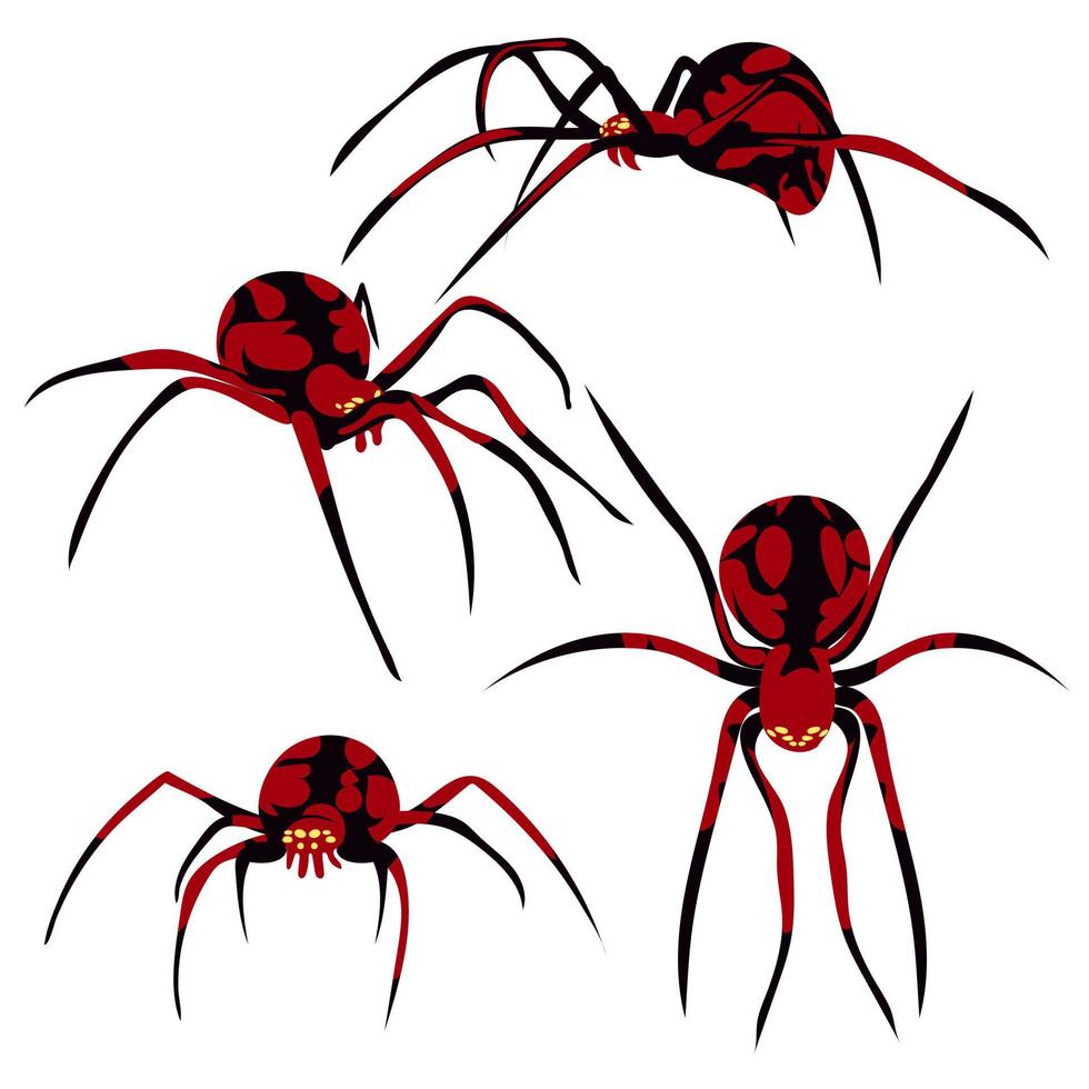 une ensemble de les araignées dans différent angles. silhouette de une noir et rouge toxique araignée avec motifs sur le corps. une dangereux araignée de différent côtés sur une blanc Contexte. un élément pour Halloween vecteur