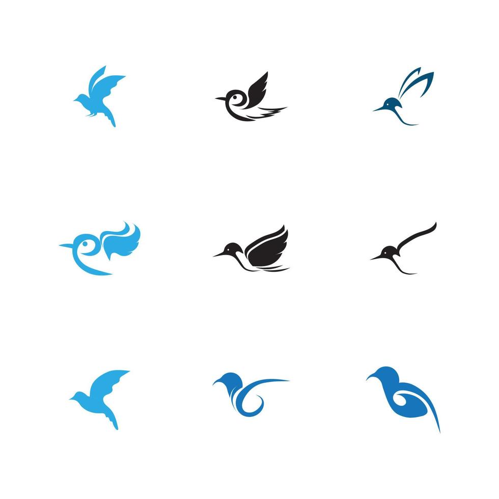 oiseau logo et symbole vecteur