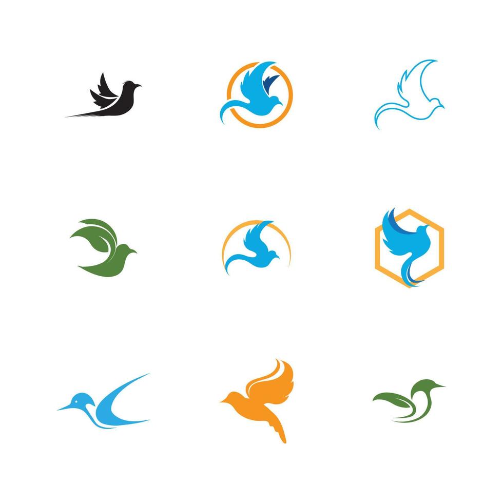 oiseau logo et symbole vecteur