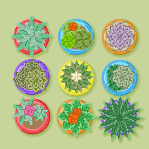 Vector Top View plantes en pot