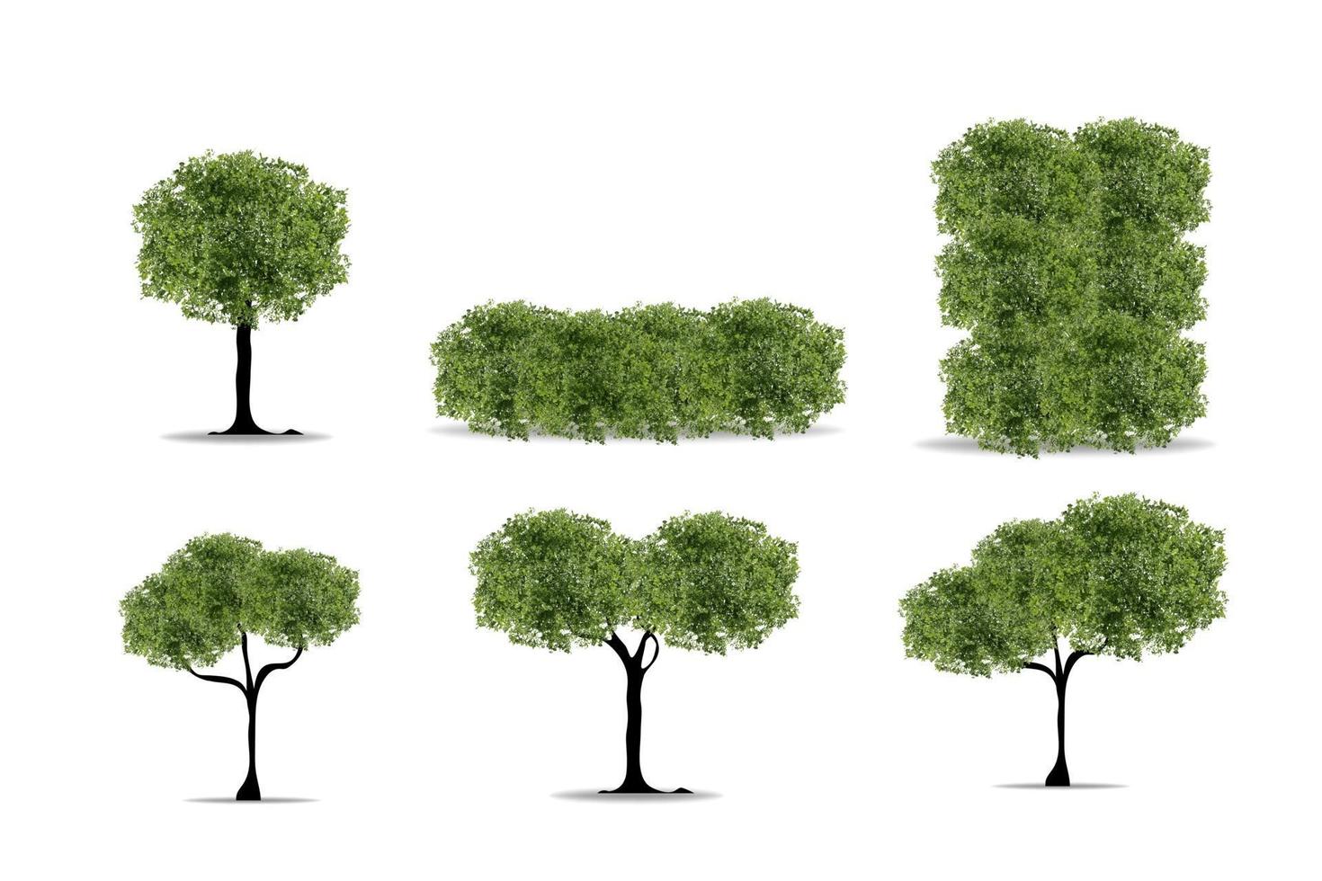 arbre réaliste sur fond blanc. illustration vectorielle EPS10. vecteur
