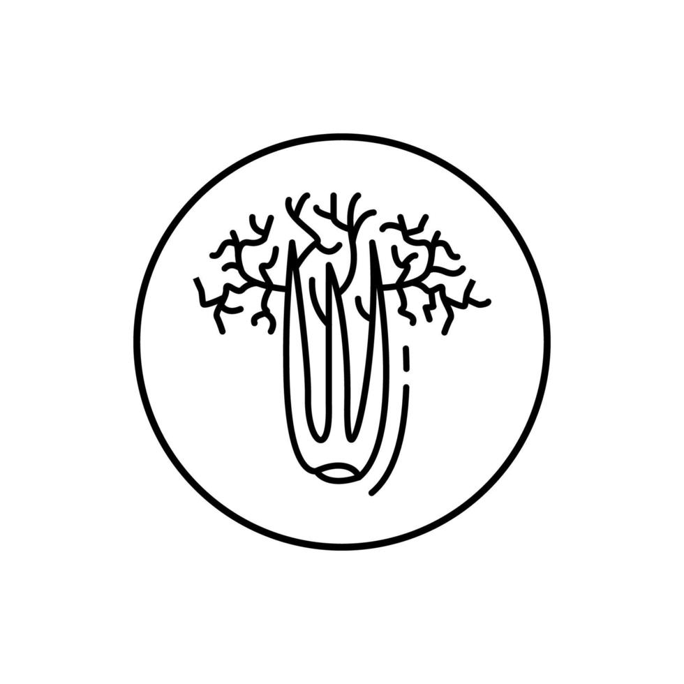 céleri, végétalien vecteur icône