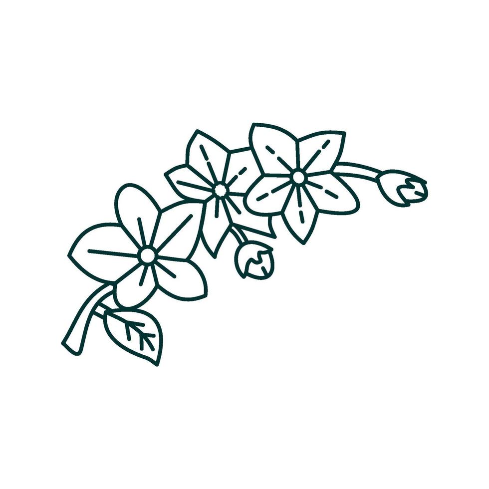 modèle de conception illustration feuille fleur vecteur
