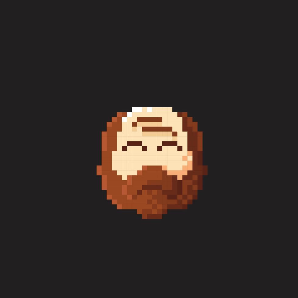 vieux homme avec barbe dans pixel art style vecteur