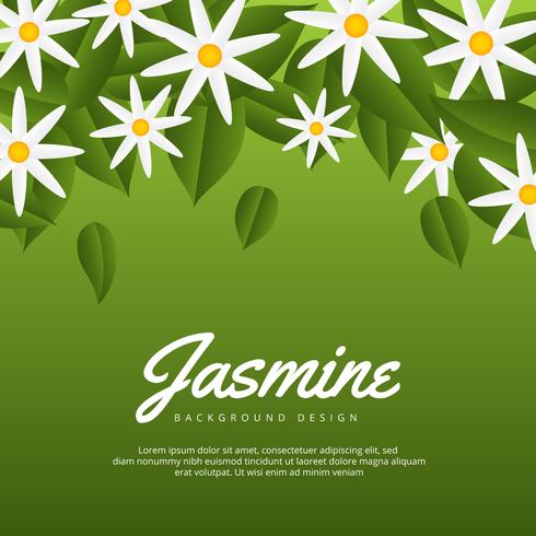 Fond de fleur de jasmin vecteur