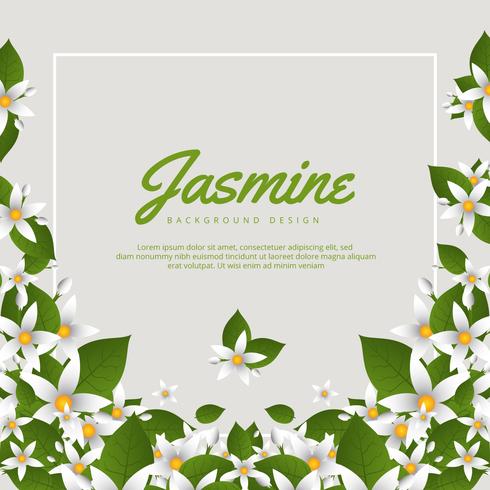 Fond de fleur de jasmin vecteur